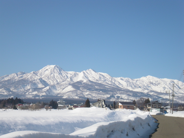 f:id:bakafutomon:20110222094817j:image