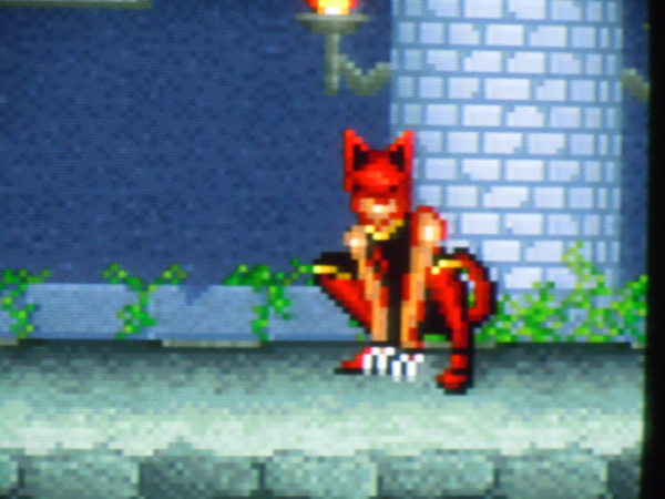 f:id:bakafutomon:20110222221905j:image