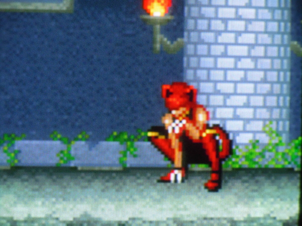 f:id:bakafutomon:20110222221931j:image