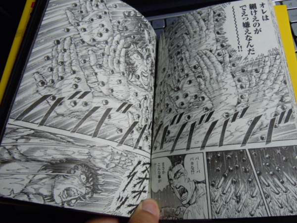 f:id:bakafutomon:20110603211100j:image