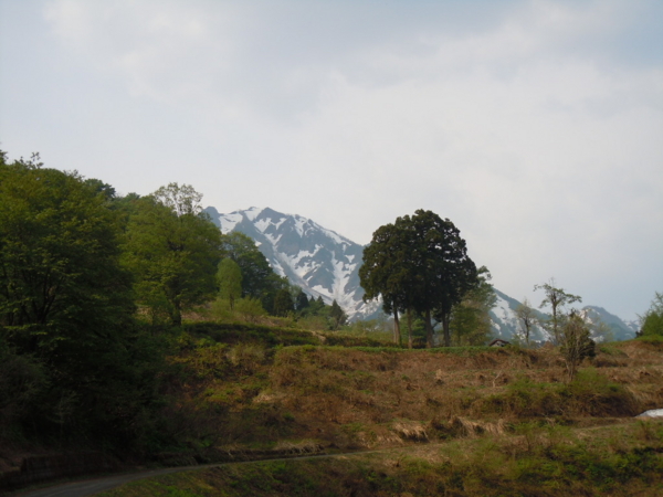 f:id:bakafutomon:20120506081154j:image