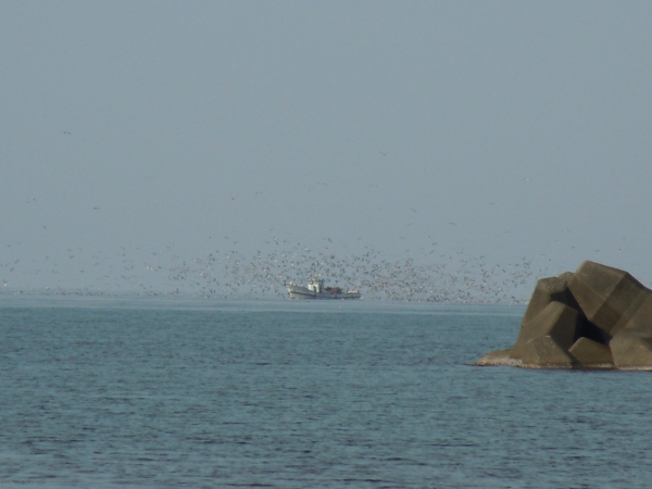 f:id:bakafutomon:20120520155739j:image