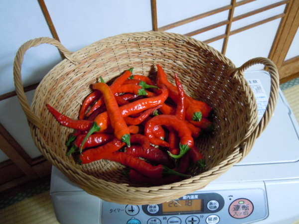 f:id:bakafutomon:20121117183011j:image