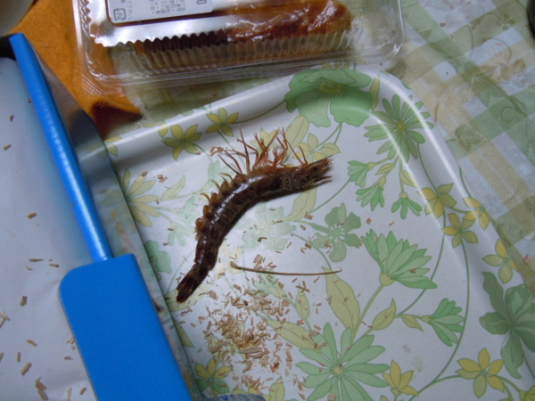 f:id:bakafutomon:20121223172442j:image f:id:bakafutomon:20121223172442j:image