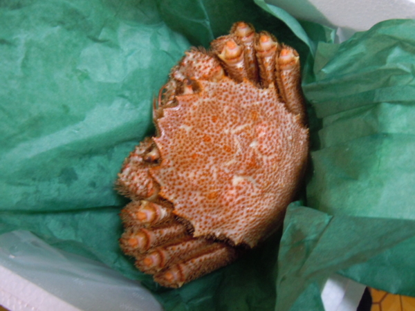 f:id:bakafutomon:20130207181750j:image
