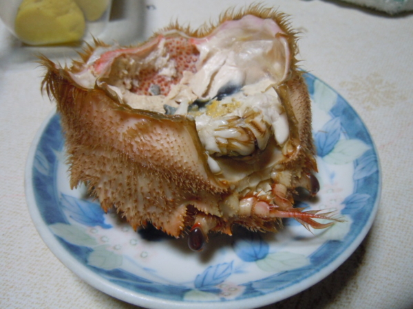 f:id:bakafutomon:20130207185230j:image