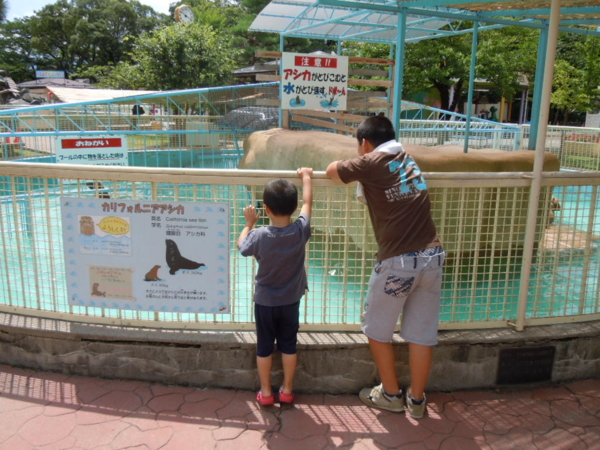 f:id:bakafutomon:20130715102734j:image f:id:bakafutomon:20130715102734j:image
