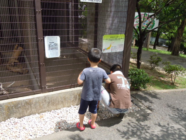 f:id:bakafutomon:20130715104152j:image f:id:bakafutomon:20130715104152j:image