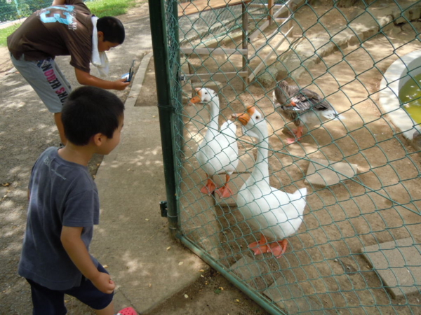 f:id:bakafutomon:20130715104642j:image f:id:bakafutomon:20130715104642j:image