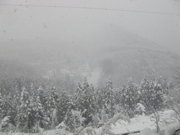 f:id:bakafutomon:20131212143311j:image
