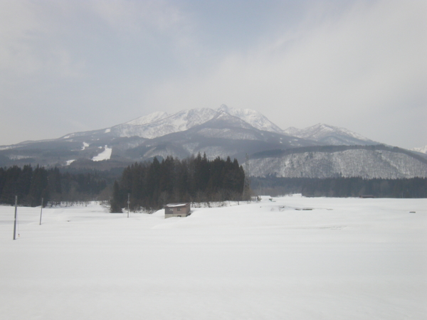 f:id:bakafutomon:20140312132720j:image