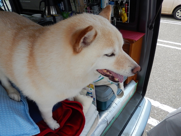 f:id:bakafutomon:20140705132014j:image
