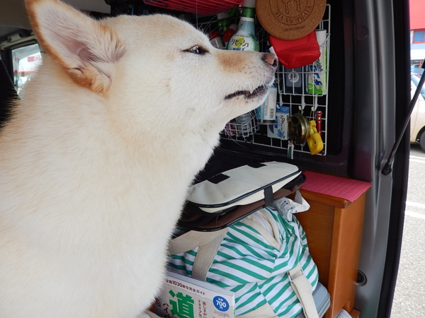 f:id:bakafutomon:20140705132030j:image