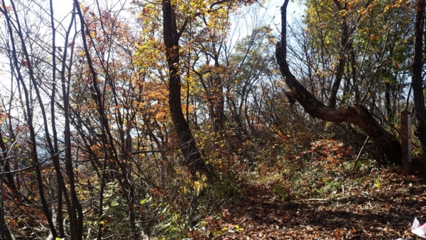 f:id:bakafutomon:20141111114748j:image