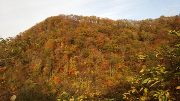 f:id:bakafutomon:20141112152139j:image