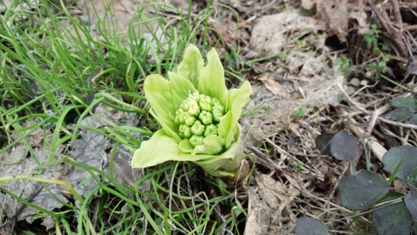 f:id:bakafutomon:20150318154355j:image f:id:bakafutomon:20150318154355j:image