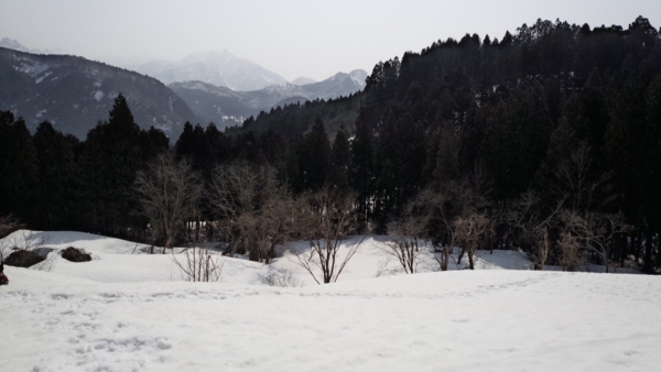 f:id:bakafutomon:20150322094852j:image