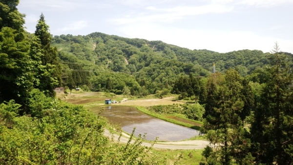 f:id:bakafutomon:20150514103916j:image