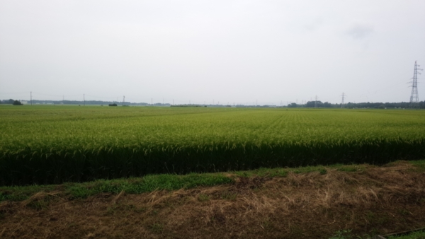 f:id:bakafutomon:20150811125018j:image