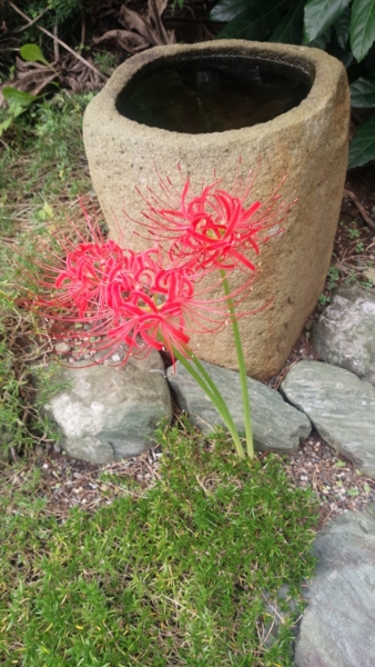 f:id:bakafutomon:20150921135421j:image