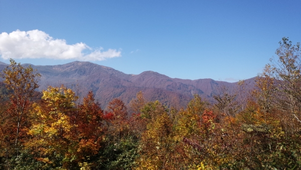 f:id:bakafutomon:20151017113700j:image