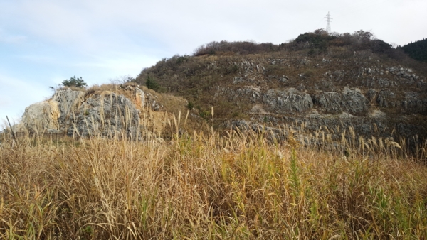 f:id:bakafutomon:20151116130322j:image