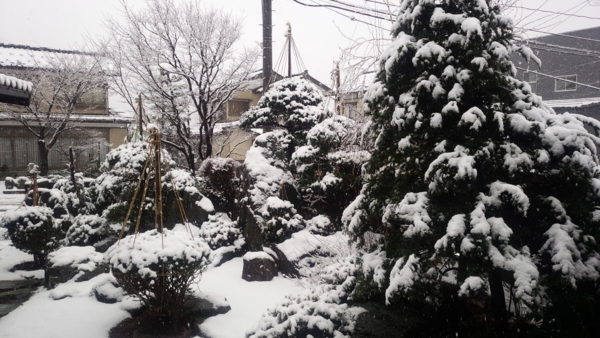 f:id:bakafutomon:20160111130449j:image