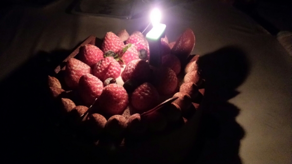 f:id:bakafutomon:20160118193138j:image