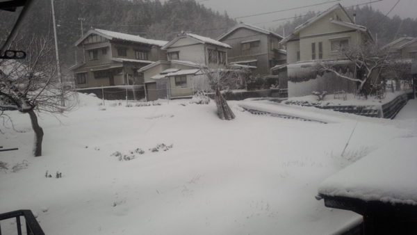 f:id:bakafutomon:20160124081532j:image