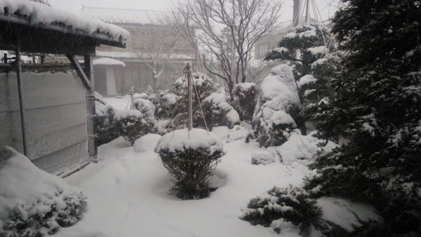 f:id:bakafutomon:20160124082605j:image