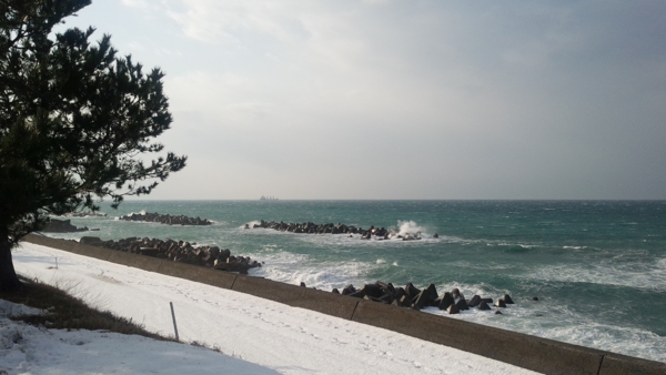 f:id:bakafutomon:20160127151720j:image