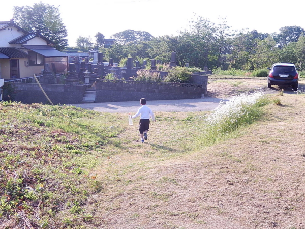 f:id:bakafutomon:20160522171518j:image