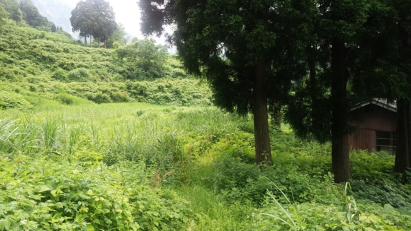 f:id:bakafutomon:20160612131811j:image f:id:bakafutomon:20160612131811j:image