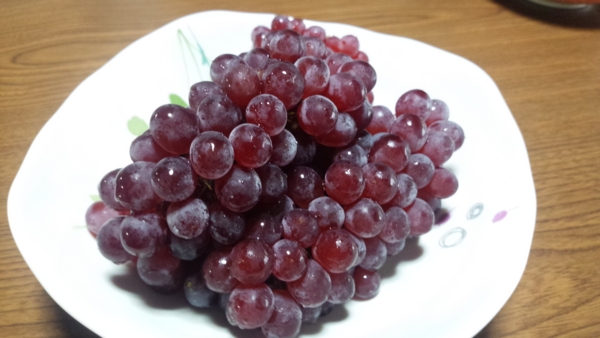 f:id:bakafutomon:20160815084138j:image
