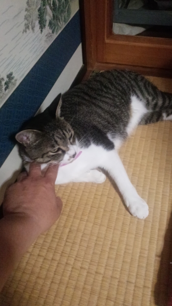 f:id:bakafutomon:20160828201602j:image