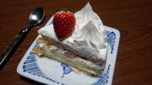 f:id:bakafutomon:20161224201852j:image