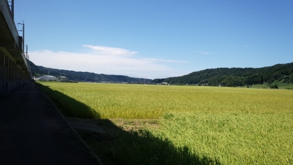 f:id:bakafutomon:20170901120934j:image f:id:bakafutomon:20170901120934j:image