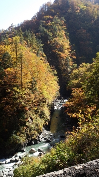 f:id:bakafutomon:20171027105915j:image f:id:bakafutomon:20171027105915j:image