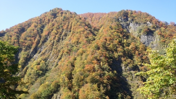 f:id:bakafutomon:20171027115536j:image f:id:bakafutomon:20171027115536j:image