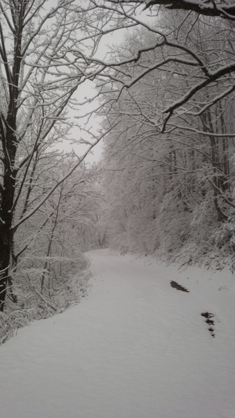 f:id:bakafutomon:20171116095216j:image f:id:bakafutomon:20171116095216j:image