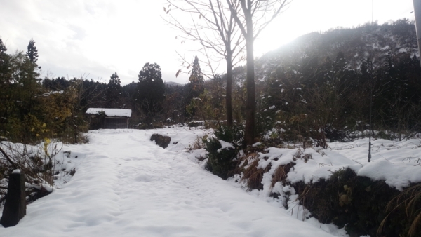 f:id:bakafutomon:20171120143042j:image
