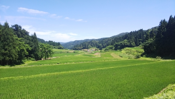 f:id:bakafutomon:20180702103440j:image