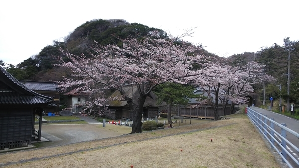 f:id:bakafutomon:20190408170743j:image
