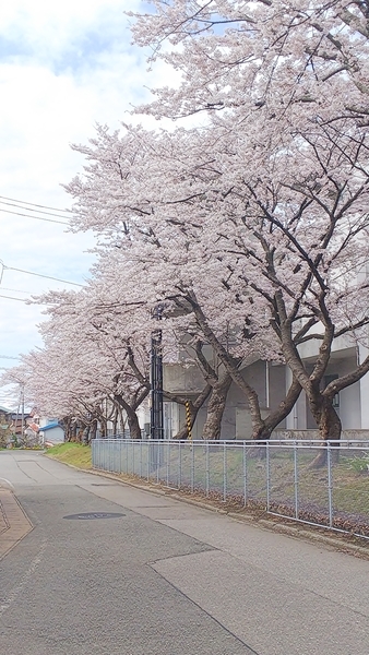 f:id:bakafutomon:20190412143737j:image