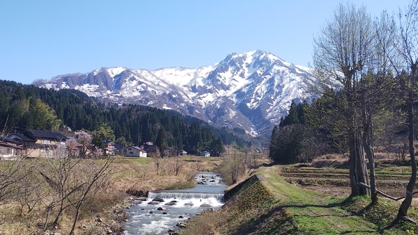 f:id:bakafutomon:20190416143934j:image