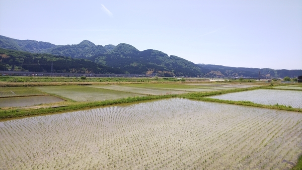 f:id:bakafutomon:20190519124812j:image