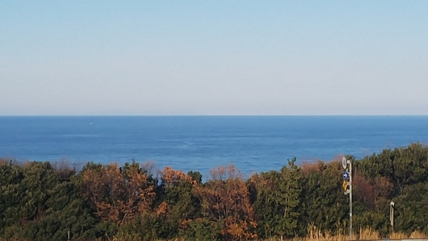 f:id:bakafutomon:20191209142739j:image f:id:bakafutomon:20191209142739j:image