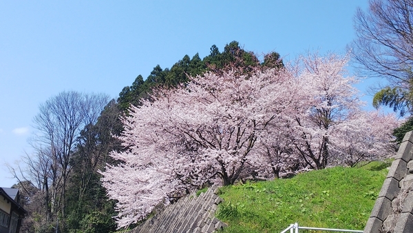 f:id:bakafutomon:20200404132321j:image
