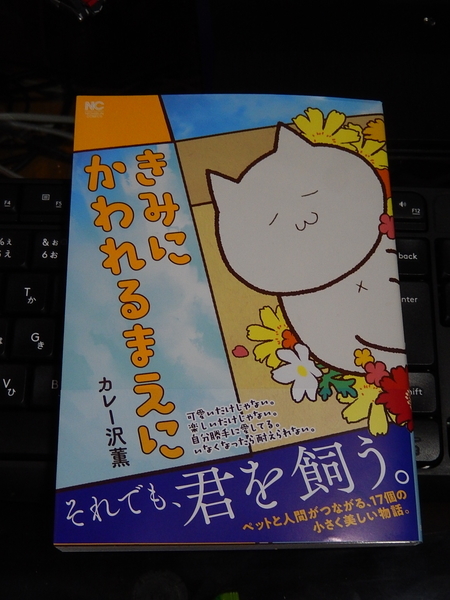 f:id:bakafutomon:20200523174018j:image f:id:bakafutomon:20200523174018j:image