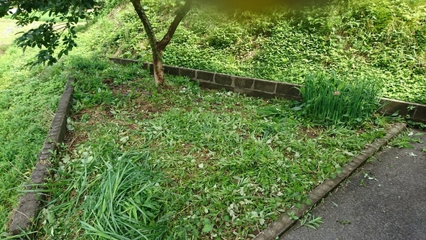f:id:bakafutomon:20200719085902j:image